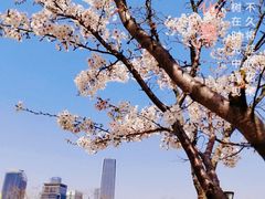 -上海山野camping·户外天幕烧烤·团建拓展营地
