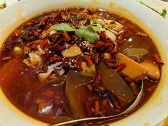 毛血旺-丰收日(五角场店)