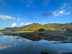 -金苑酒家·客家菜·广东老字号(万象店)