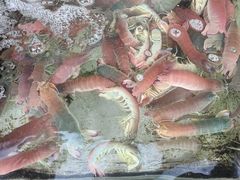 -星奇缘·海鲜餐厅(东山美食地标店)