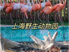 -上海野生动物园