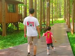 -黄海国家森林公园