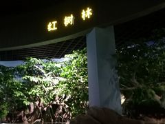 -福州罗源湾海洋世界旅游区