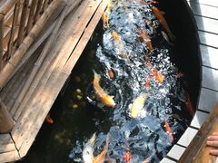 -上海大自然野生昆虫馆(东方明珠·爬宠昆虫探索中心)
