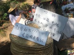 -大连北马山庄