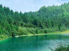 -武陵山森林公园