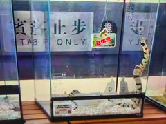 -春晖园度假酒店温泉