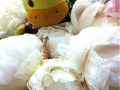 iphone_upload_pic-良友书坊(安徽路店)