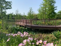 -同里国家湿地公园