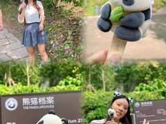 -都江堰中华大熊猫苑