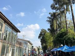 -三圣花乡旅游区