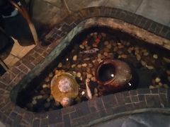 -同仁四季椰子鸡(海岸城天利店)
