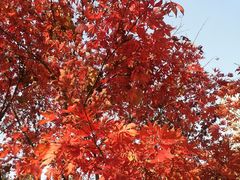 -苏州河梦清园环保主题公园