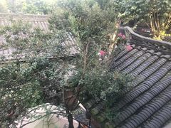 -见山书院