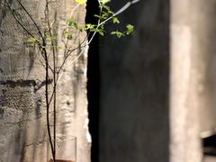 -作咖啡(养育巷店)