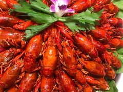 -福苗小骆驼烧烤(太奥广场店)