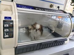 -A猫a狗全科·犬猫异宠·芥西宠物医院(南开总院)