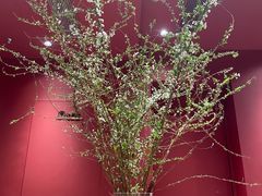 -Dal Cuore 达可芮冰淇淋(陕西北路店)