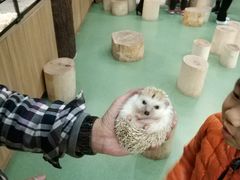 -藦茜花园宠物主题亲子互动体验馆(国顺东路店)