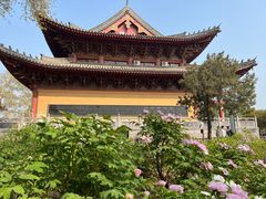 -洛阳白马寺