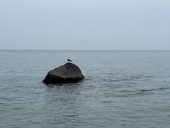 -仰口沙滩