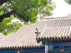 -张学良旧居陈列馆