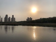 -前关湿地公园