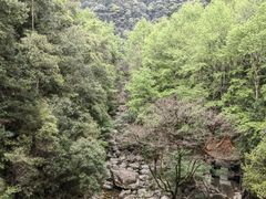 -花岩国家森林公园