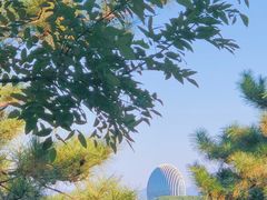 -Local泰莲庭(虹鳟鱼店)
