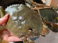 -南沙十九涌渔人码头-南门