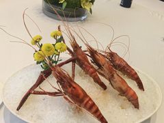 -新成海港大酒楼(康华路店)
