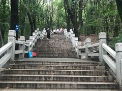 -灵岩山风景区