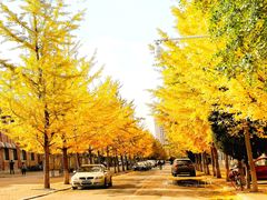 -东北大学(南湖校区)