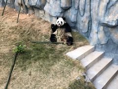 -泉州海丝野生动物世界