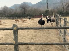 -西安秦岭野生动物园