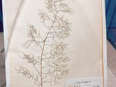 -南京中医药大学(仙林校区)