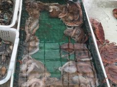 -毕家疃综合市场