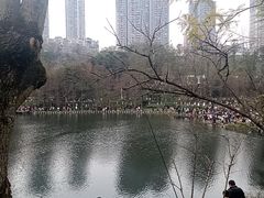 -重庆彩云湖湿地公园