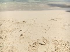 -白沙滩