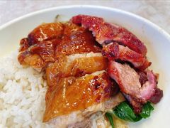 叉烧拼烧鹅饭-辉旺烧鹅茶餐厅
