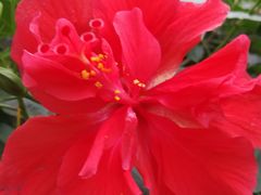 -广东茂名森林公园