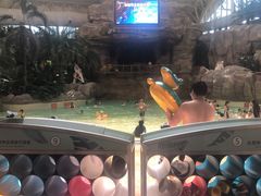 -杭州开元森泊度假乐园