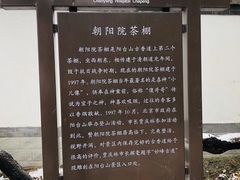 -阳台山自然风景区