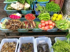 android_upload_pic-苍洱春饭店