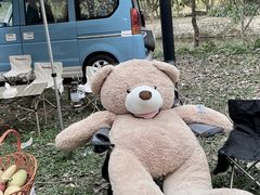 -南宁良凤江国家森林公园