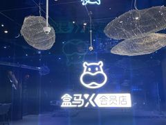 -盒马X会员店(上海森兰商都店)