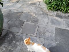 -李叔同故居纪念馆