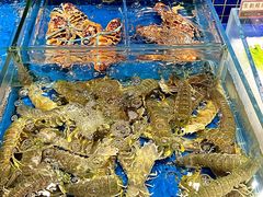 -協成海鮮火鍋(老店)