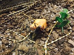 -上海昆虫博物馆