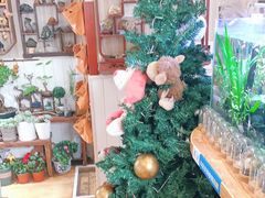 -Rabbit Cafe私房西餐甜点咖啡(栖霞路店)